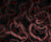 Customized Topographic Vinyl Wrap
