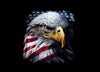 American Flag and Bald Eagle Style Hood Wrap Vinyl Custom Sizes 02