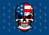 Customizable American Flag Punisher Skull Style Hood Wrap Vinyl Custom Sizes AFS01