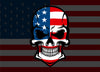 Customizable American Flag Punisher Skull Style Hood Wrap Vinyl Custom Sizes AFS02