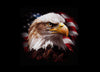 American Flag and Bald Eagle Style Hood Wrap Vinyl Custom Sizes 01