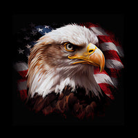 American Flag and Bald Eagle Style Hood Wrap Vinyl Custom Sizes 01