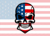 Customizable American Flag Punisher Skull Style Hood Wrap Vinyl Custom Sizes AFS02